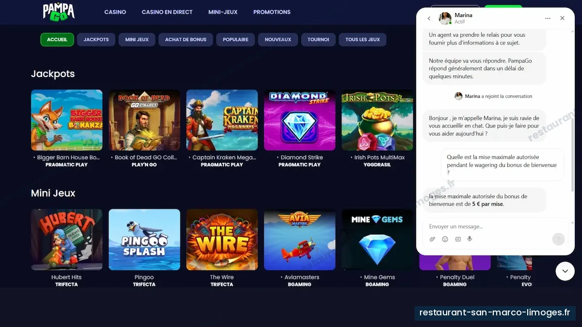 Capture du service de discussion PampaGo contenue dans le modèle