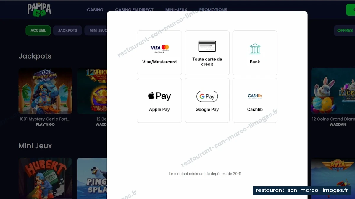 Capture des moyens de paiement affichés dans les éléments PampaGo fournis